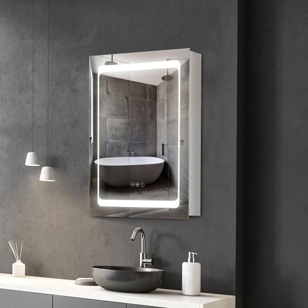 Ebern Designs LED Lighted Medicine Cabinet with Mirror, Wall-Mounted ...